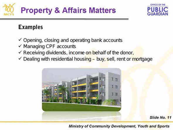 Slide 11