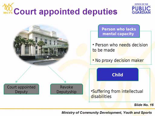 Slide 11
