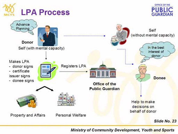 Slide 11