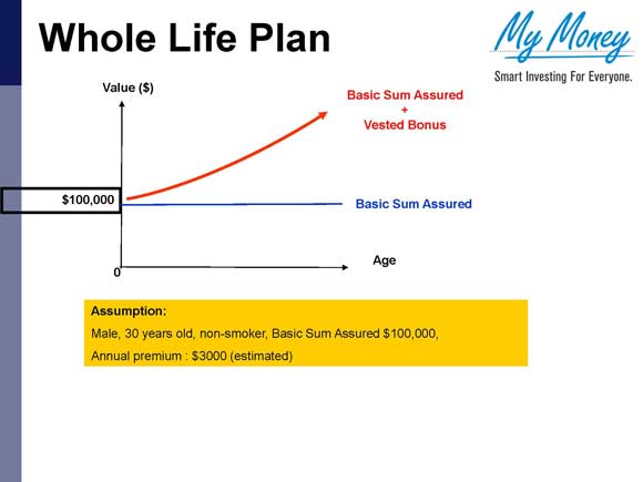Slide 5